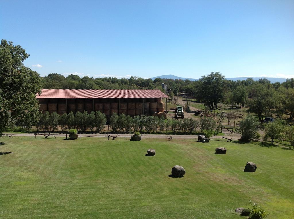 Agriturismo Poggio Della Capanna Villa Montefiascone Exterior foto